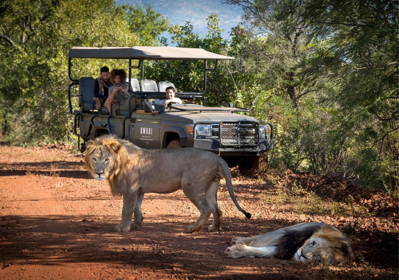 Babohi At Qwabi Private Game Reserve By Newmark Бела Бела Екстериор снимка